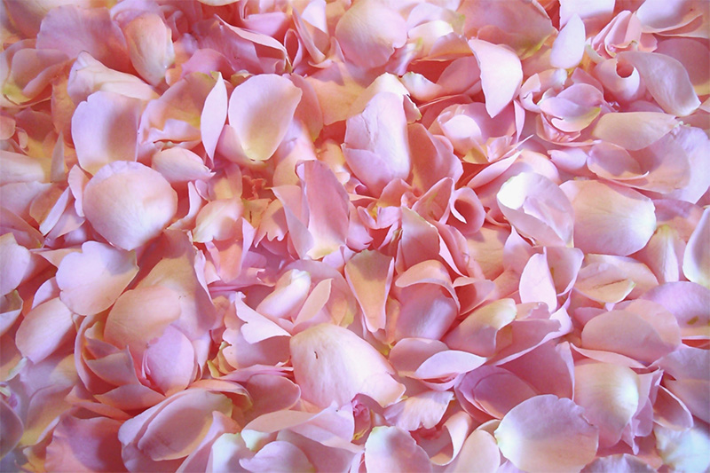 Blumen